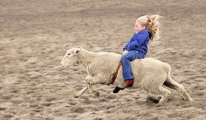 Home Page | Dr. Dain Heer